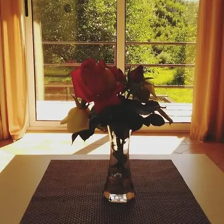 Pasha Apartment *