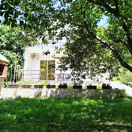 Pasha *