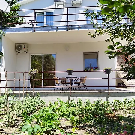 Pasha Blagaj