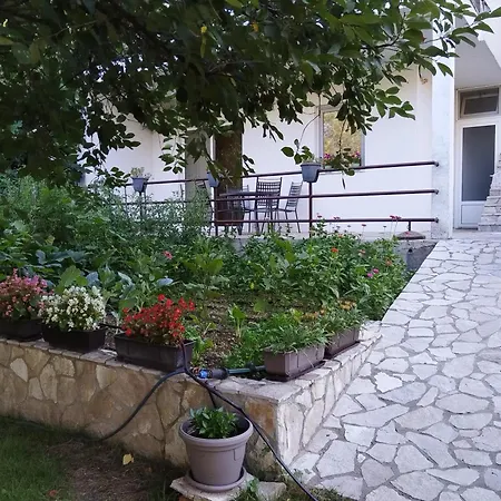 Apartment Pasha *
