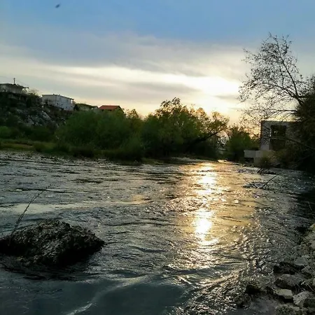Pasha Blagaj