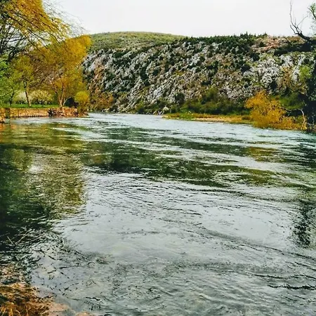 Pasha